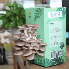 个性蘑菇盒子种植食用菌包家庭种植办公室种植盆栽菌种儿童趣味