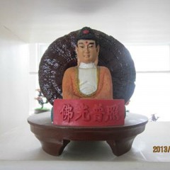 金隆菇业创出观赏灵芝家里办公室观赏品      树脂工艺灵芝盆景 佛光普照