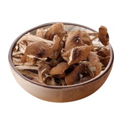 孔小菌——黔山里的茶树菇