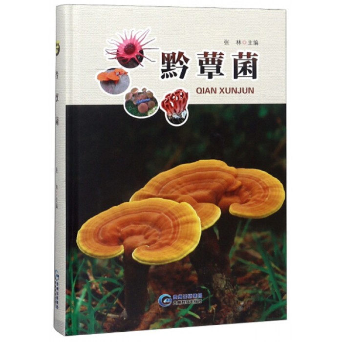 黔蕈菌