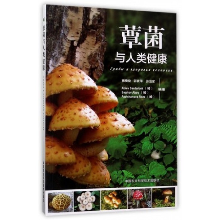 蕈菌与人类健康