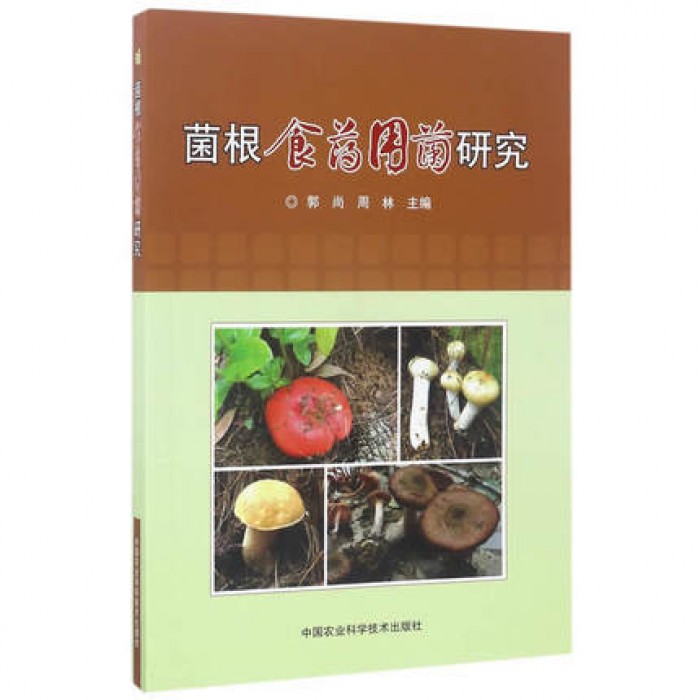 菌根食药用菌研究