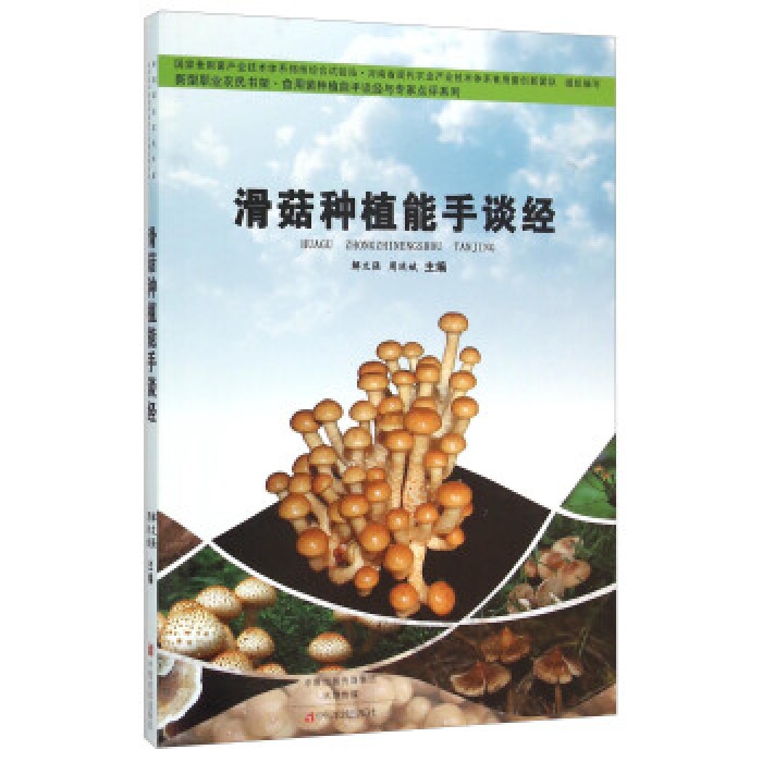 滑菇种植能手谈经