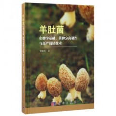 羊肚菌生物学基础，菌种分离制作与高产栽培技术