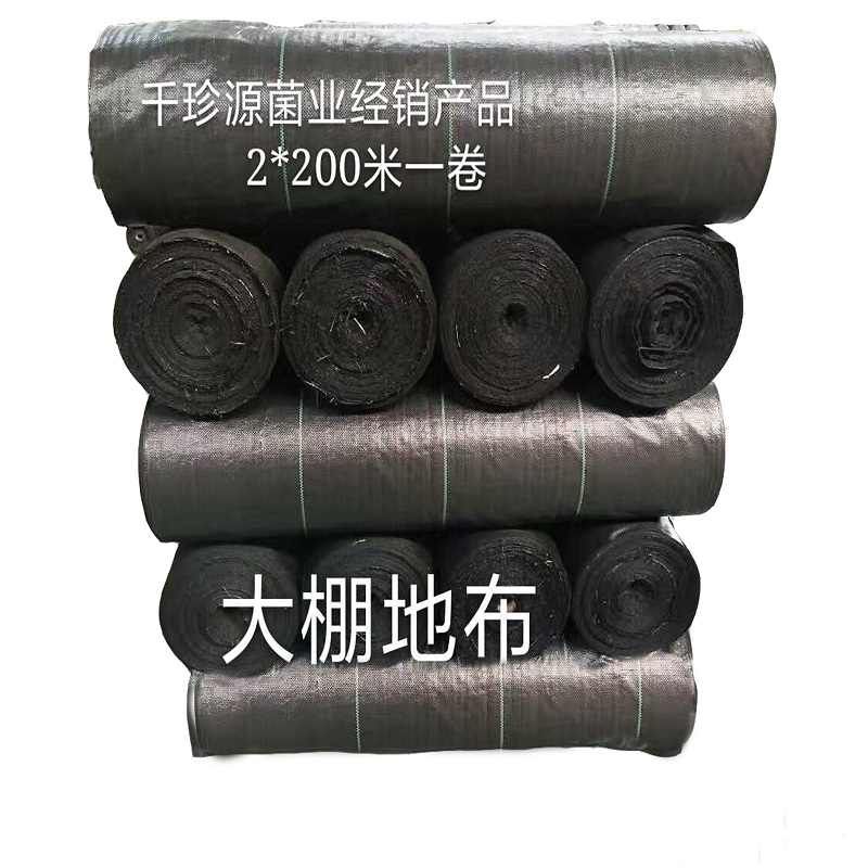 O1CN01PPeLtx1a2cUAmXMRT_!!27323272 副本.jpg
